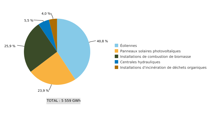 Production d'électricité à partir d'énergie issue de sources renouvelables (EnR) en Wallonie, par modes de production (2020)